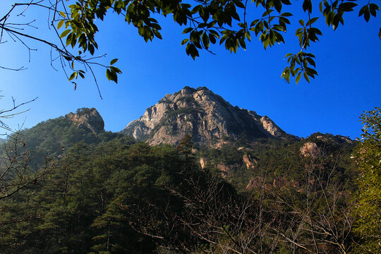 黄山遥望群山起伏