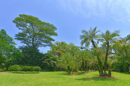 广州热带植物园