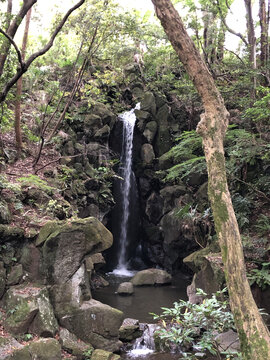 日本成田山公园里的山涧小瀑布