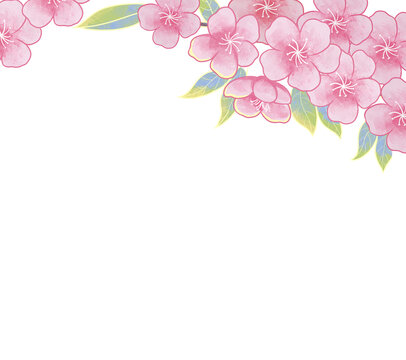 國潮風(fēng)桃花