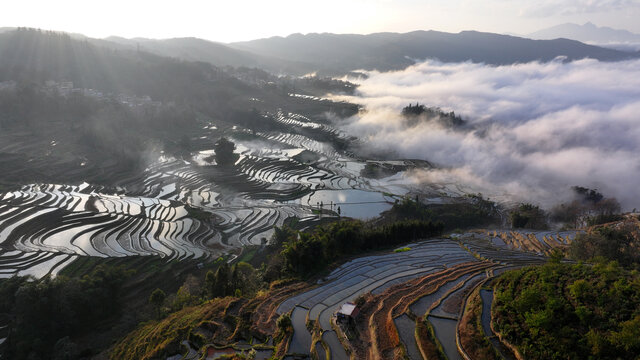 元阳梯田