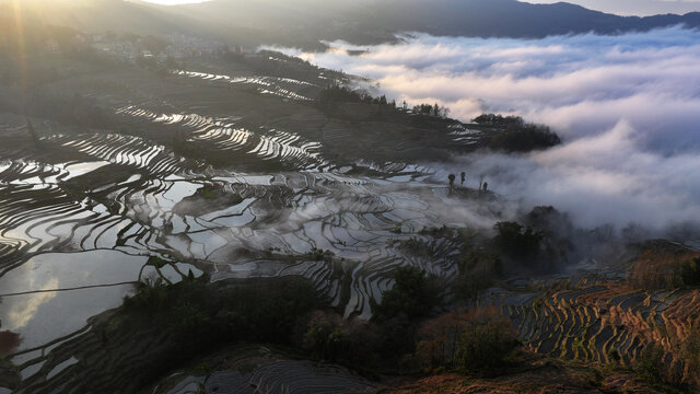 元阳梯田