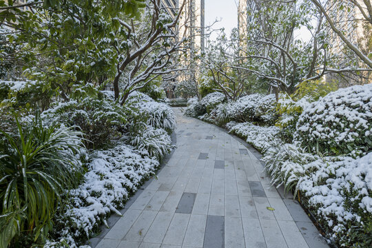 小区道路雪景