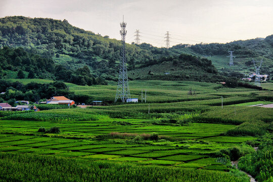 东北黑土地农田农村