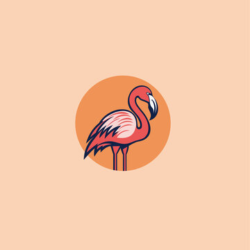 火烈鳥logo