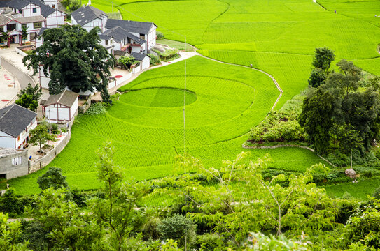 万峰林