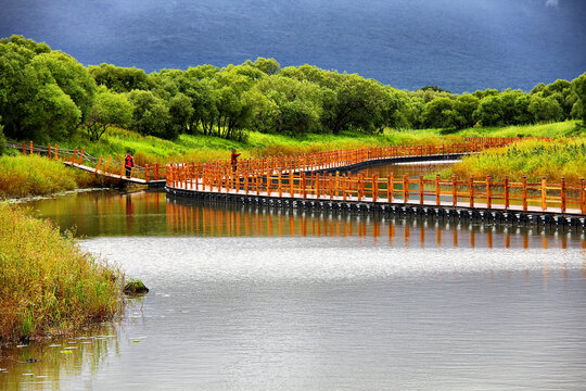 黑瞎子岛湿地木栈道