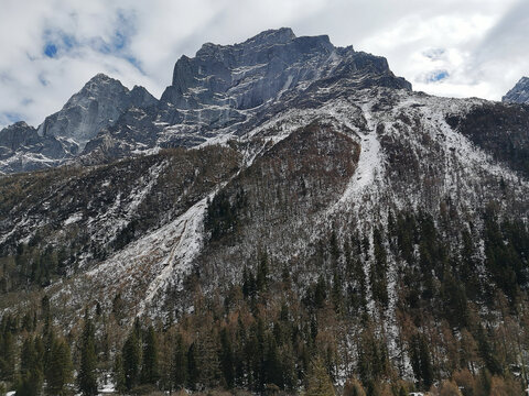 雪山森林