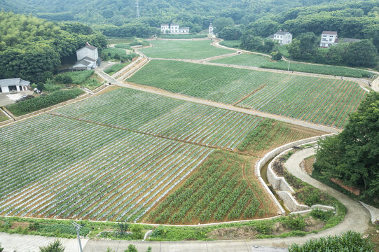 宜都市田园风光