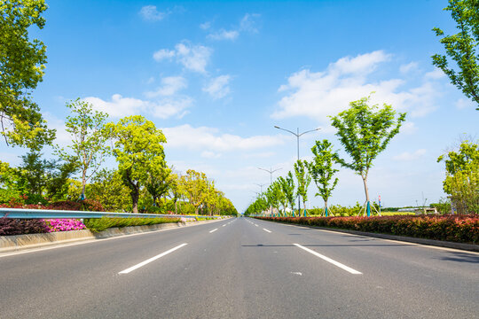 马路隔离绿化带