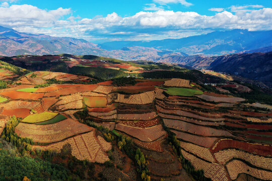 东川红土地风光