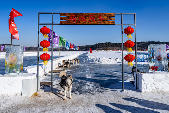 长春净月潭国家森林公园冬季风景