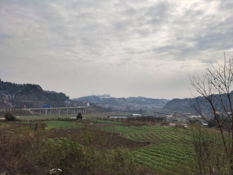 雪后的田野