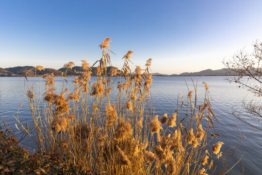 宁波东钱湖日落