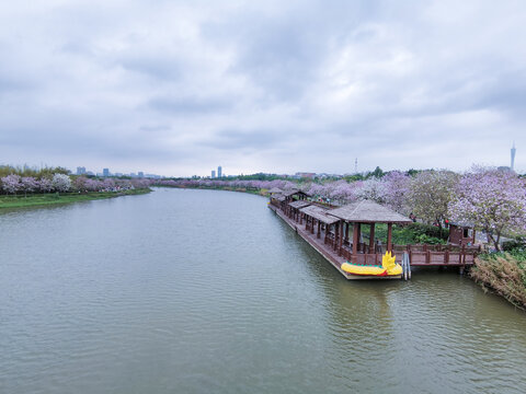 海珠湖公园