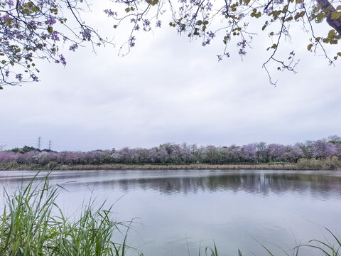 海珠湖公园