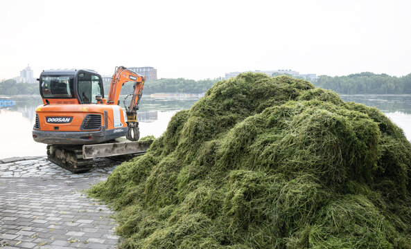 打捞水草