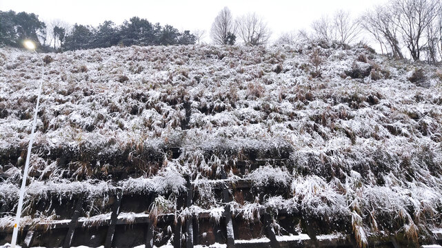 雪山冰凌