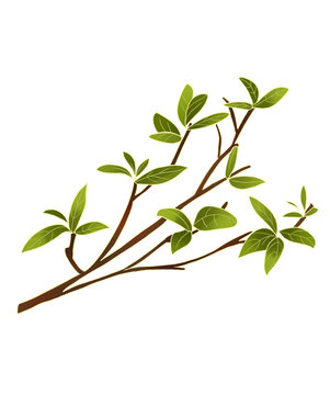 中式國風樹枝插畫