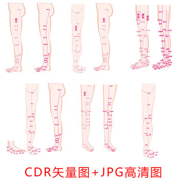 腿腳穴位及筋絡(luò)圖
