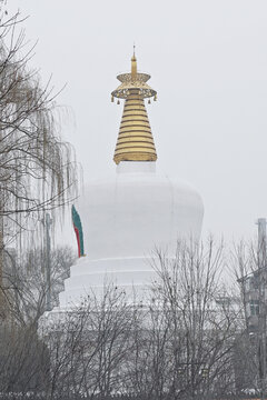 沈阳东塔