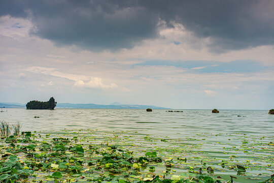 滇池湿地鲸鱼岛