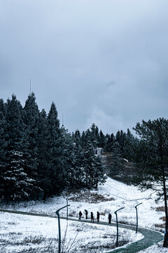 雪地行者