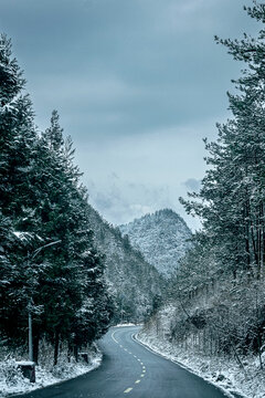 雪地蜿蜒