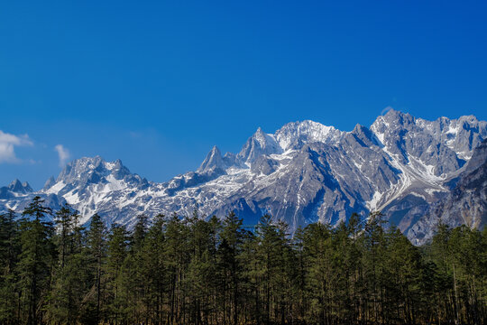 云南云杉坪观赏玉龙雪山超清特写