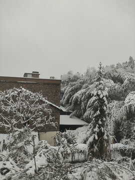 雪景