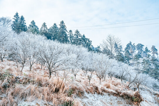 四明山雪景