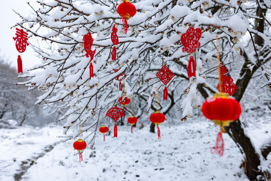 梅花雪景新春