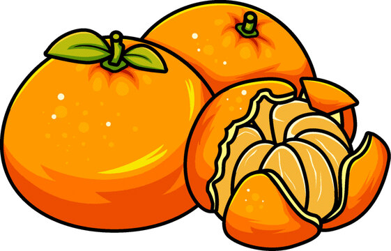 柑橘国潮插画元素