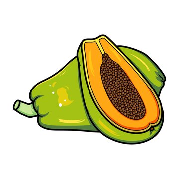 木瓜國潮插畫元素
