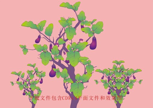 矢量植物茄子树木茄子树蔬菜