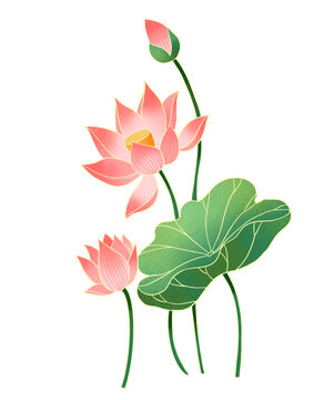 中式國(guó)潮插畫(huà)荷花