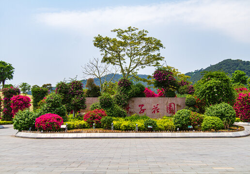 南宁青秀山叶子花园