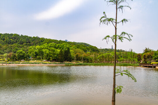 南宁青秀山公园湖景