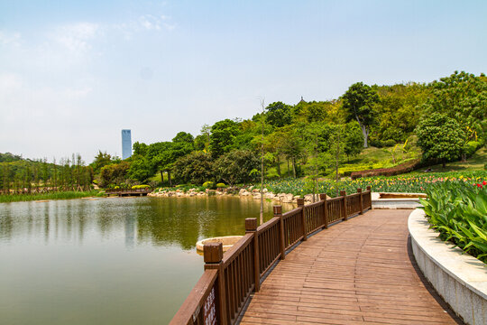 青秀山公园游览步道