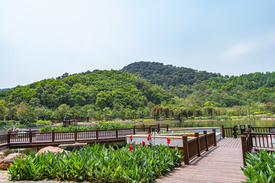 青秀山公园栈道