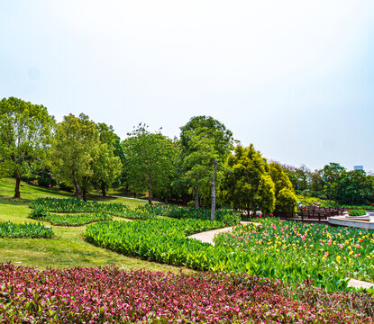 青秀山景区风光