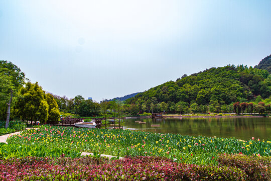 青秀山景区