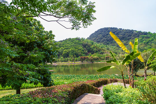 青秀山湖泊风光