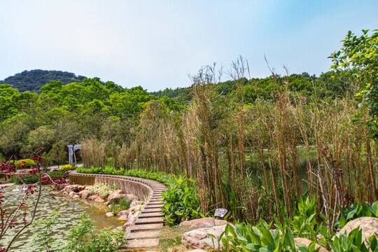 青秀山景区矴步桥