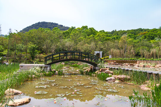 青秀山公园拱桥