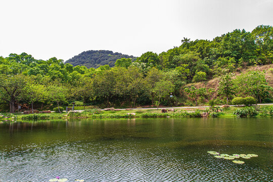 青秀山公园湖景