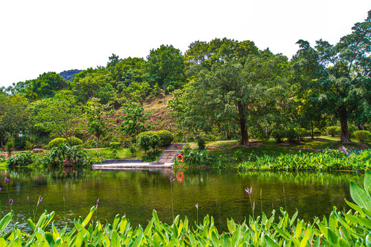 青秀山景区园林景观