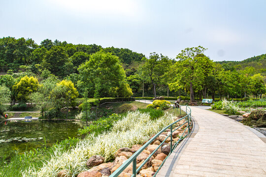 青秀山公园游览步道