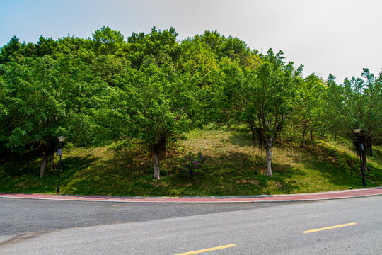 青秀山园林景观