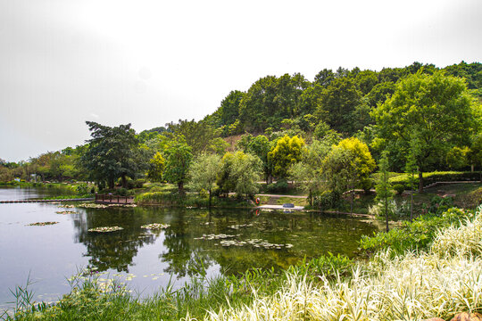 青秀山公园湖景